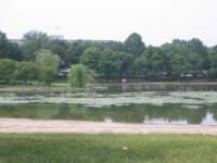 photo51_small.jpg