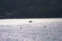 photo66_small.jpg
