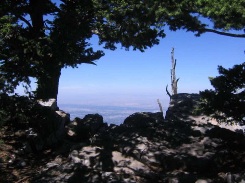 Photograph